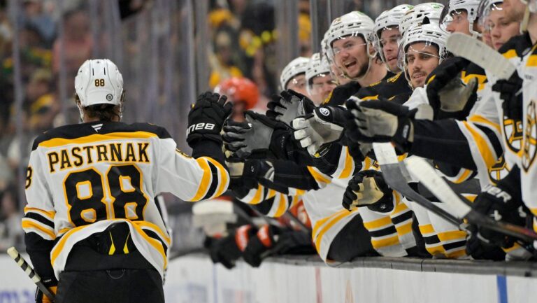 Bruins Game