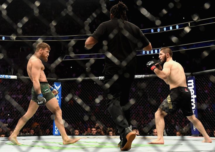 UFC 304 odds